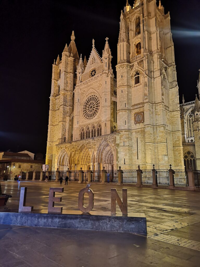 León de noche